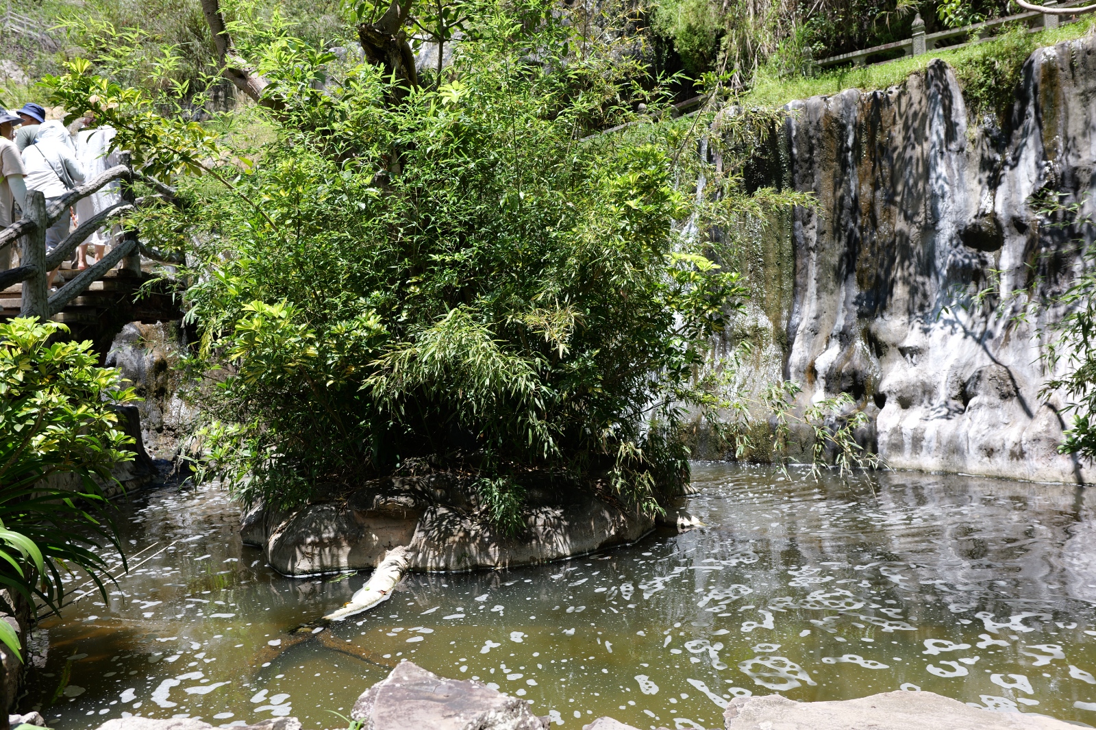 P1000614.JPG
