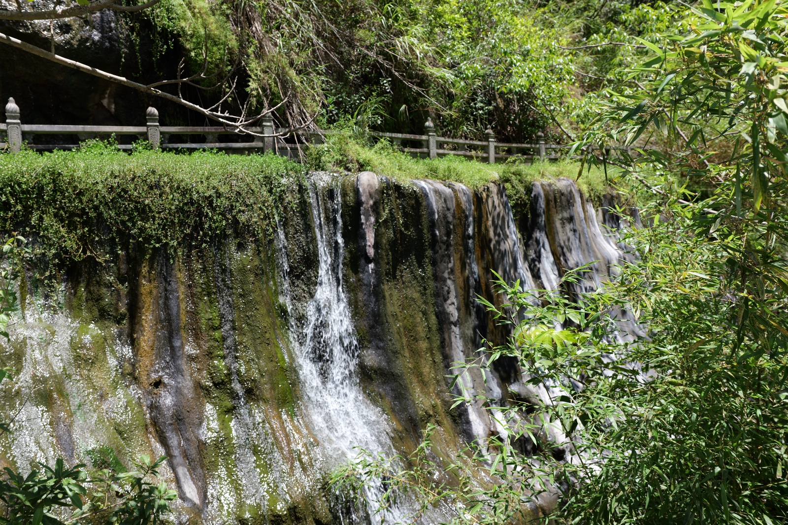 P1000615.JPG