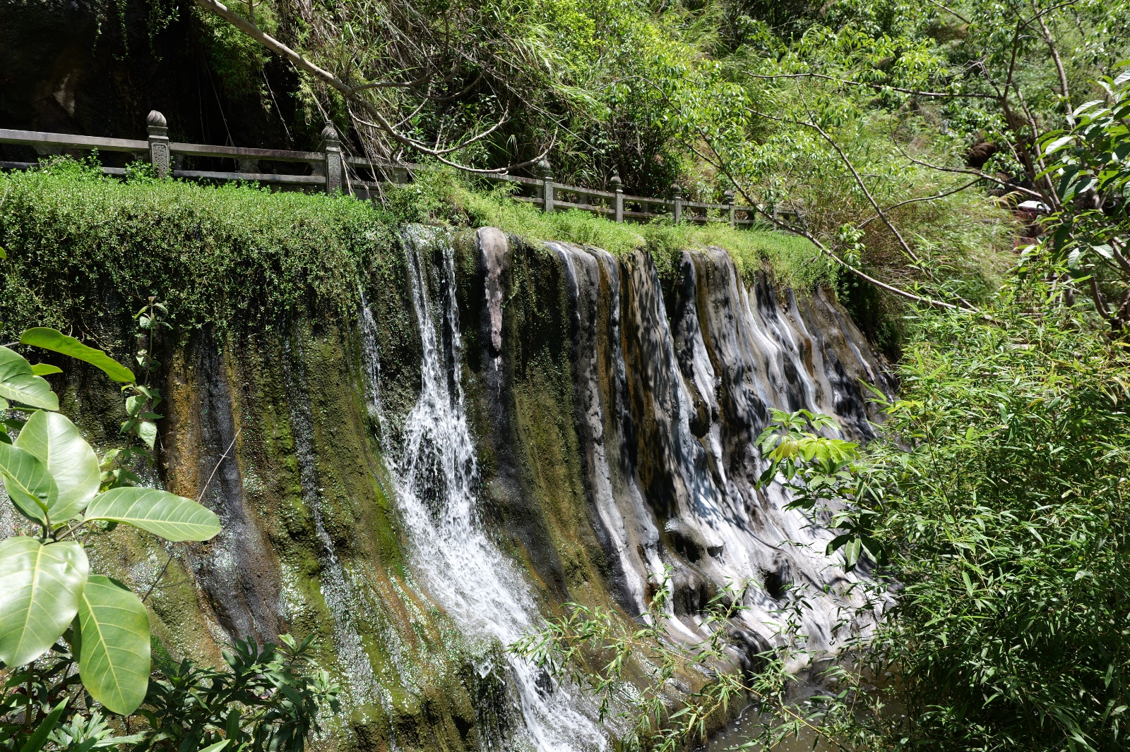 P1000616.JPG