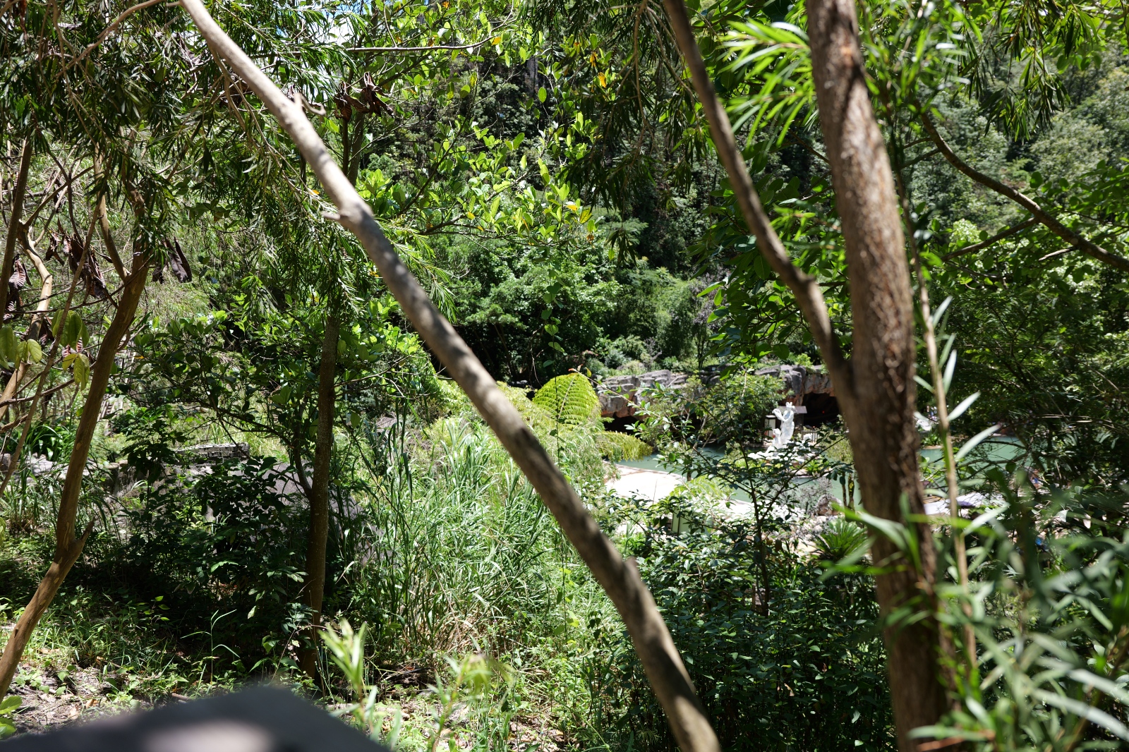 P1000621.JPG