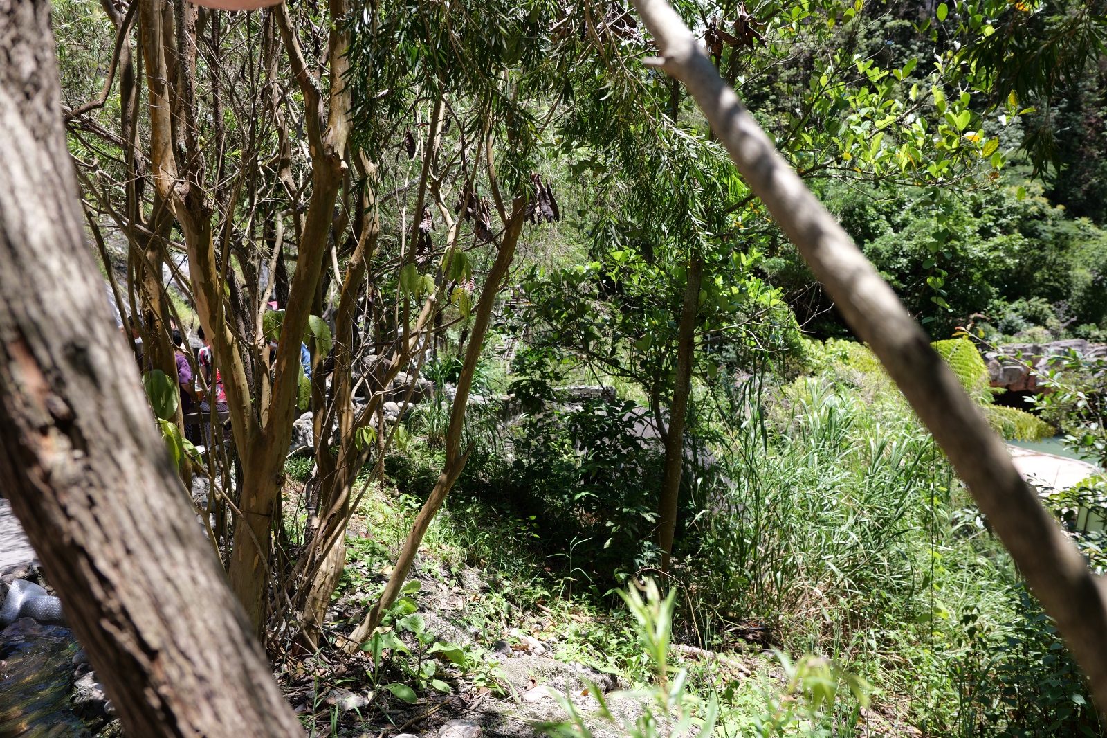 P1000622.JPG