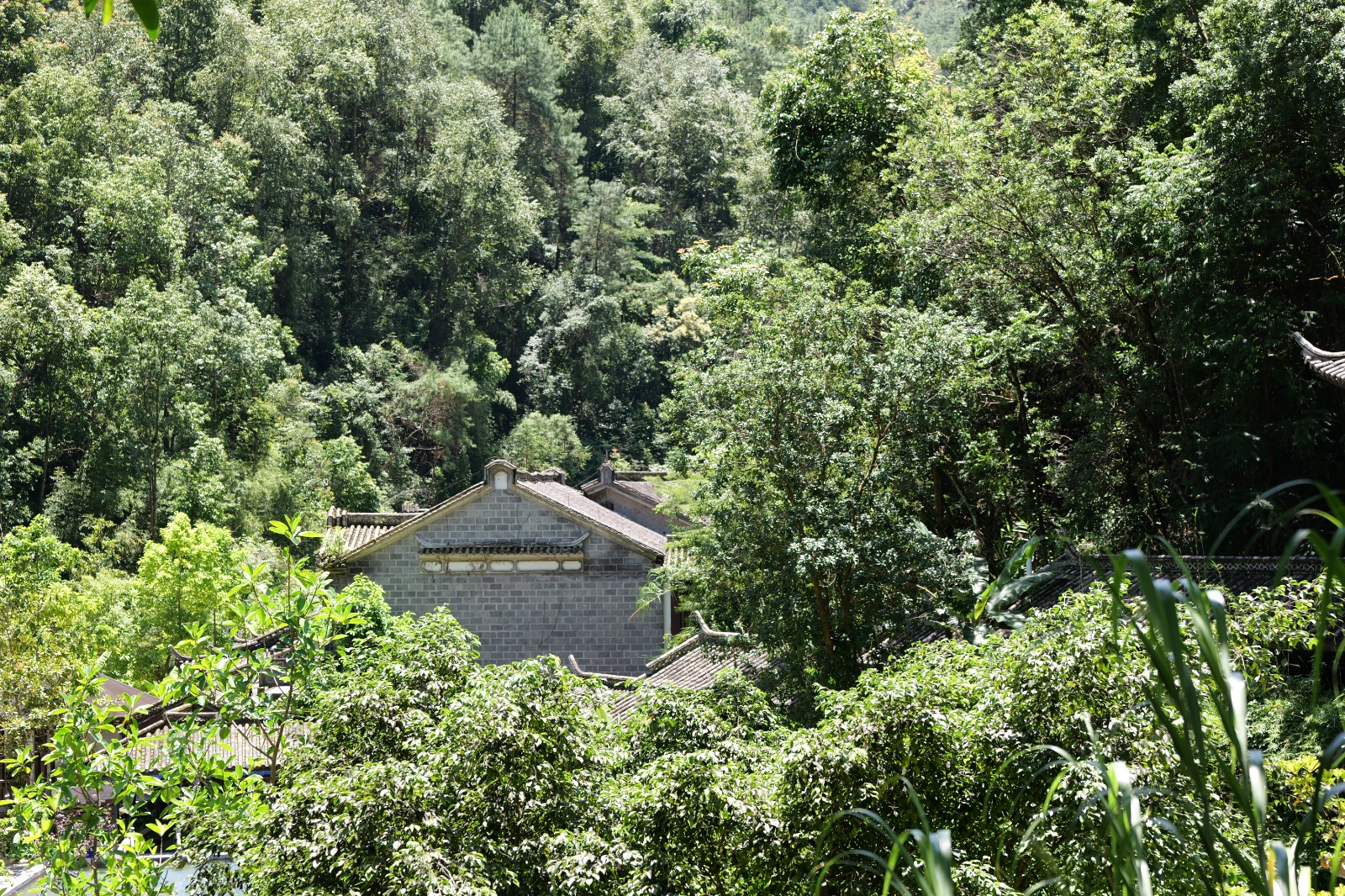 P1000628.JPG