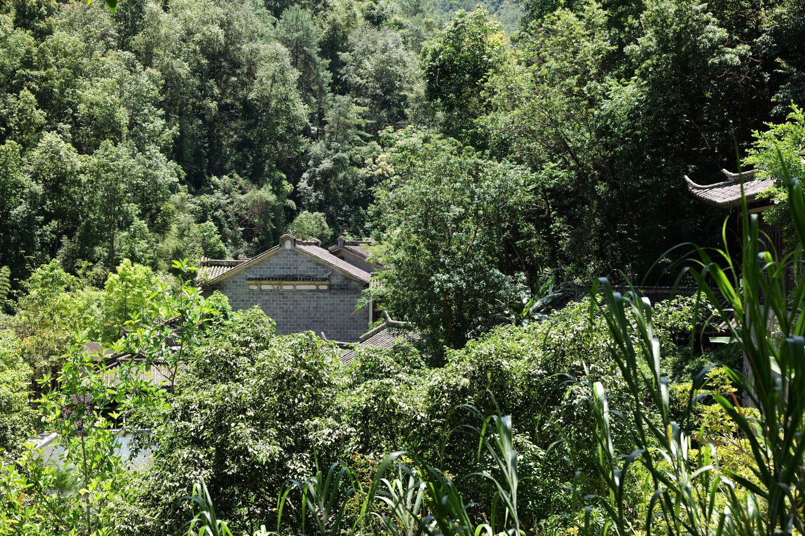 P1000629.JPG