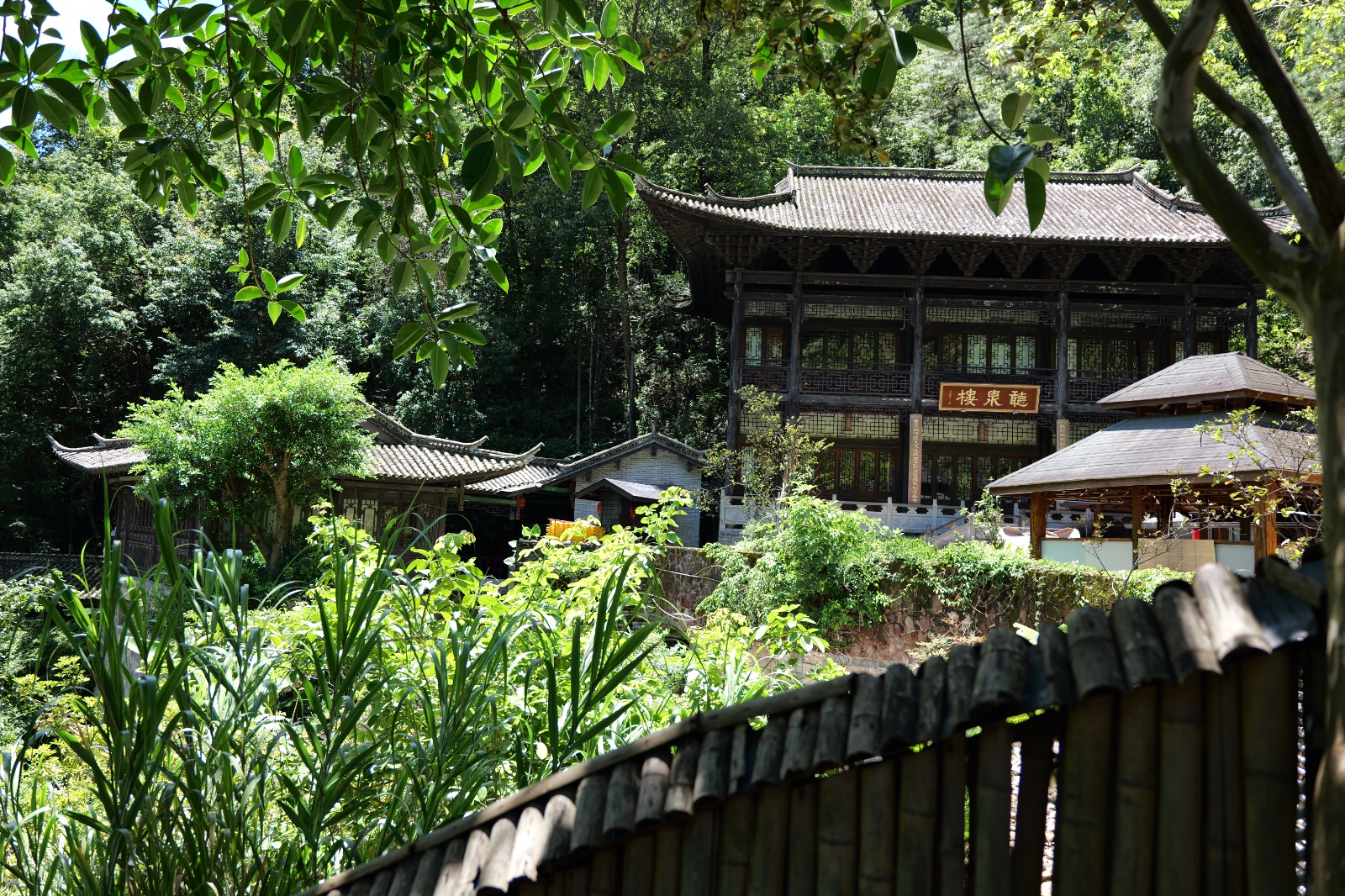 P1000630.JPG