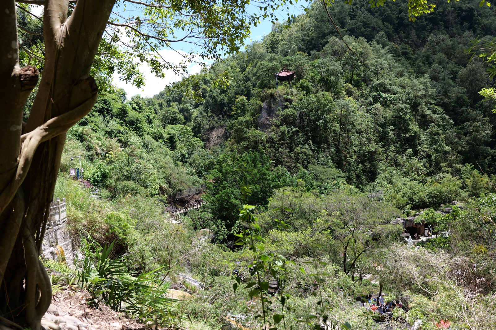 P1000640.JPG