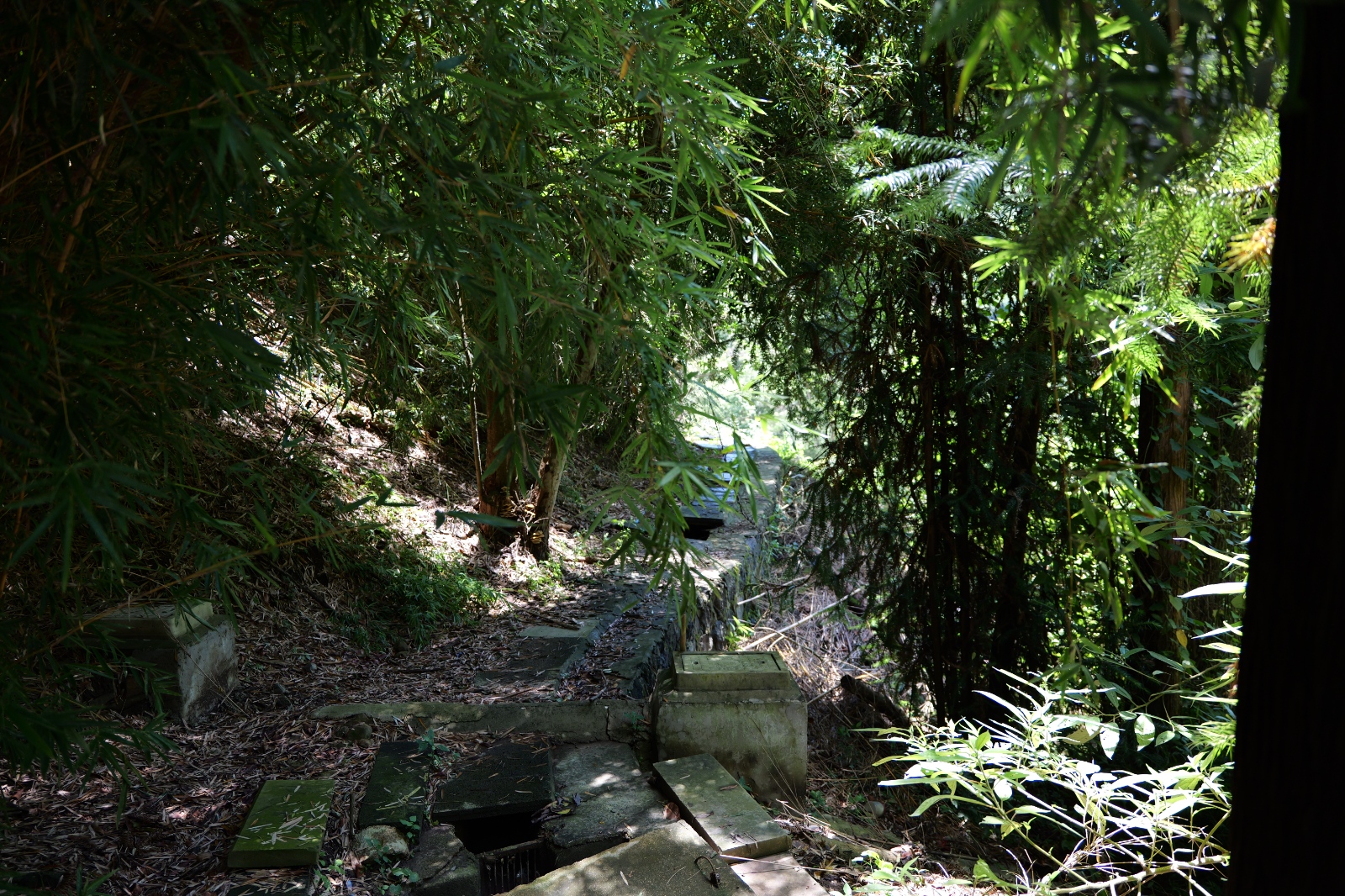 P1000685.JPG