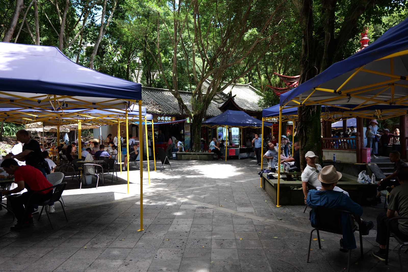 P1000693.JPG