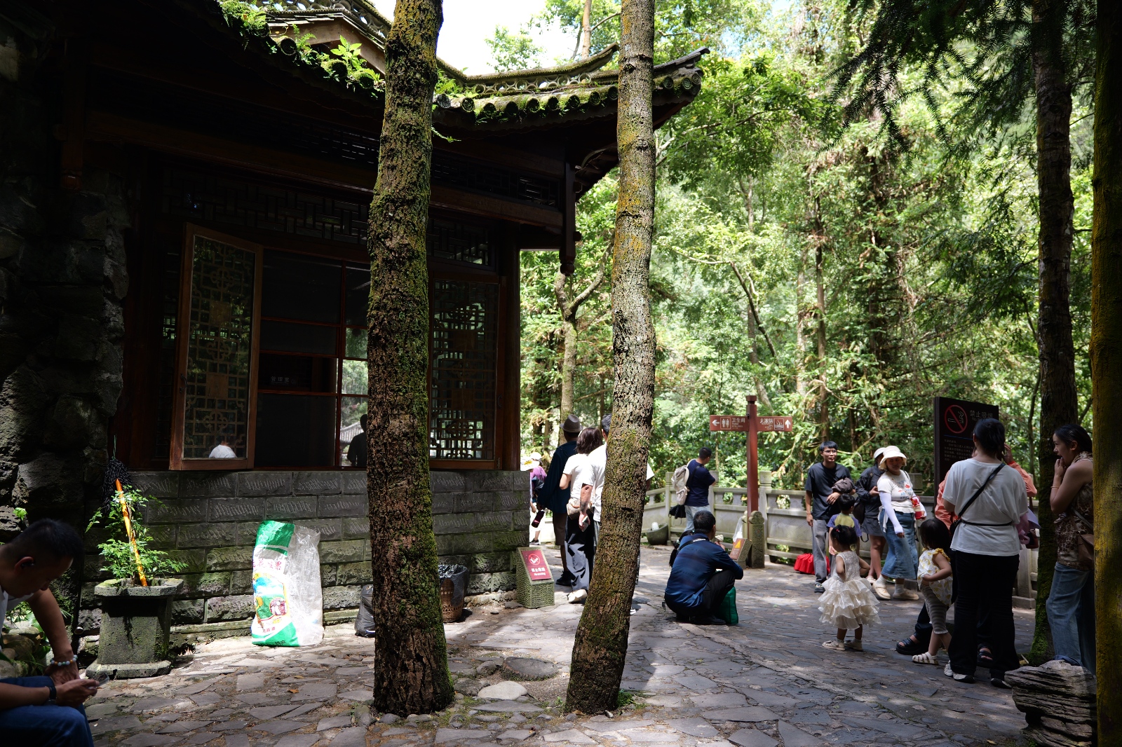 P1000697.JPG