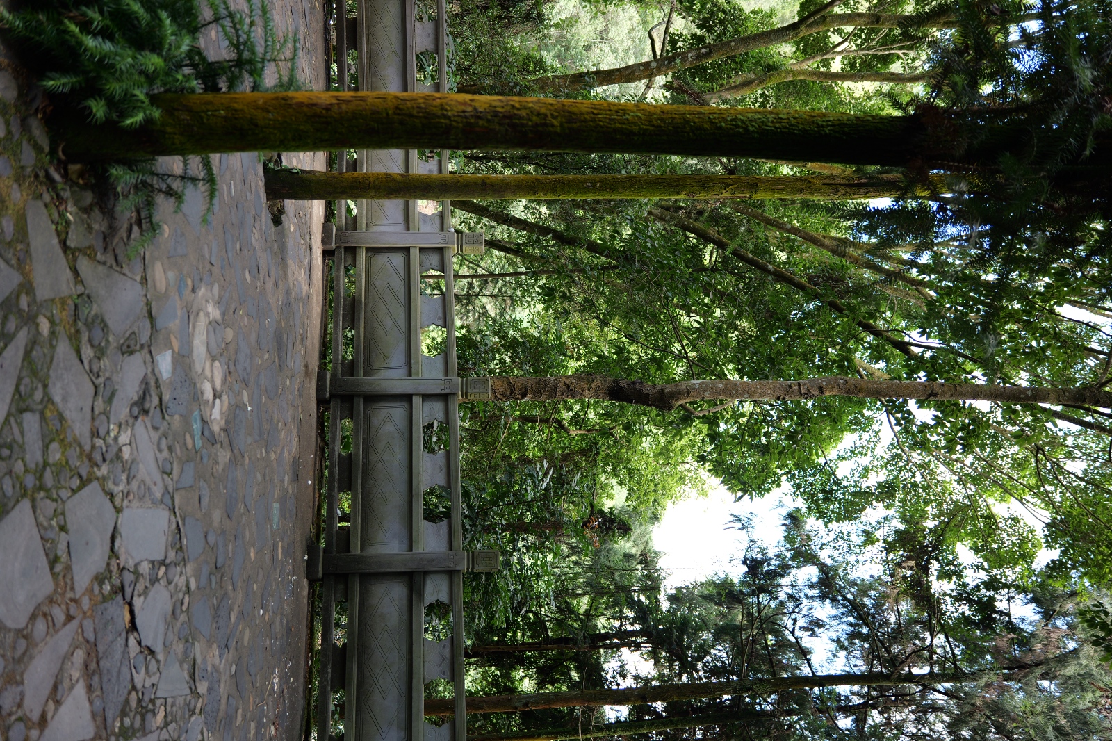 P1000700.JPG