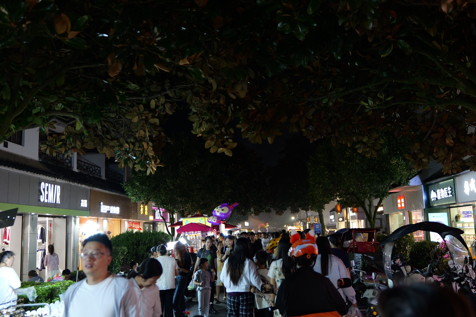 P1000730.JPG
