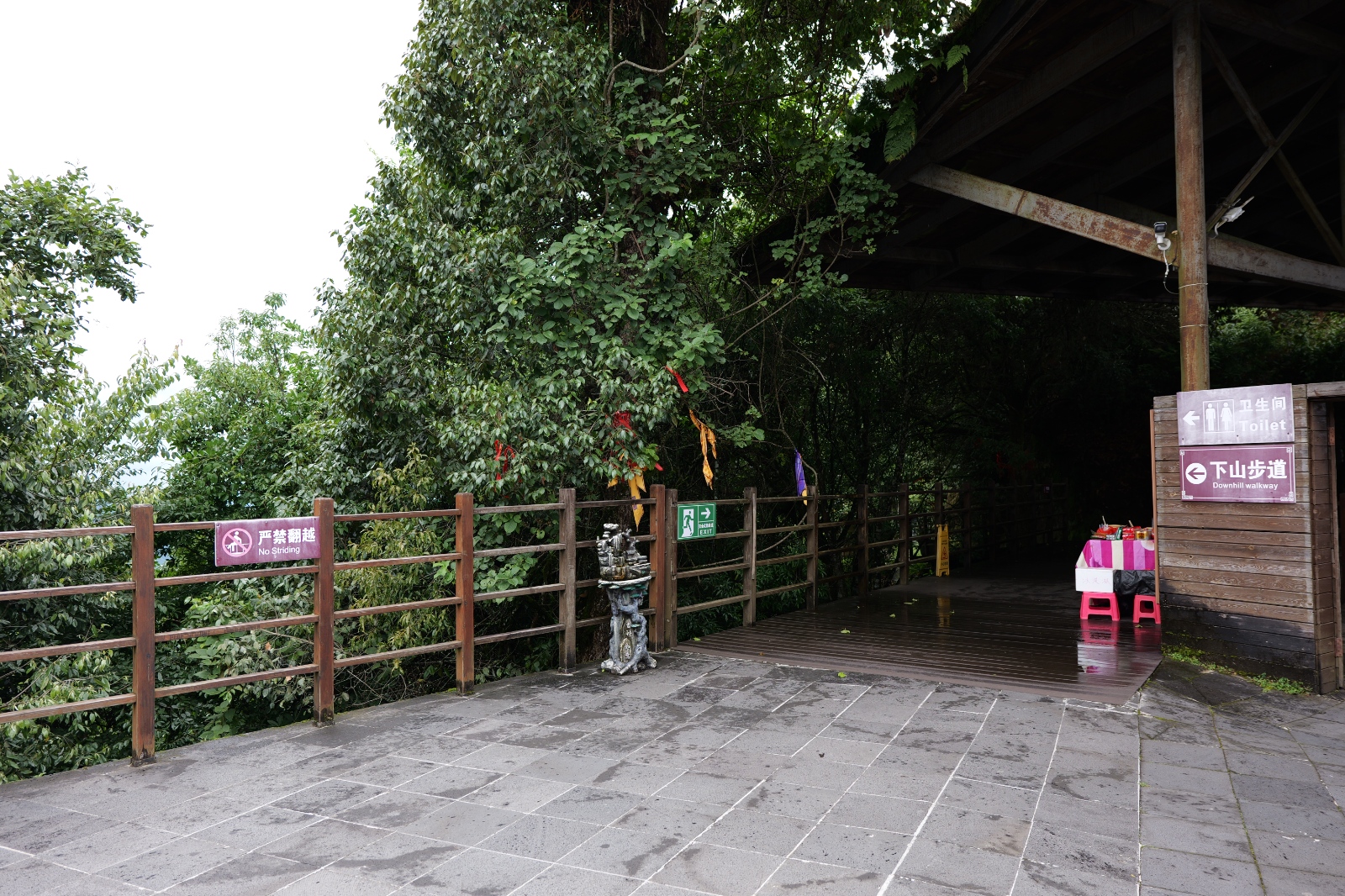 P1000747.JPG