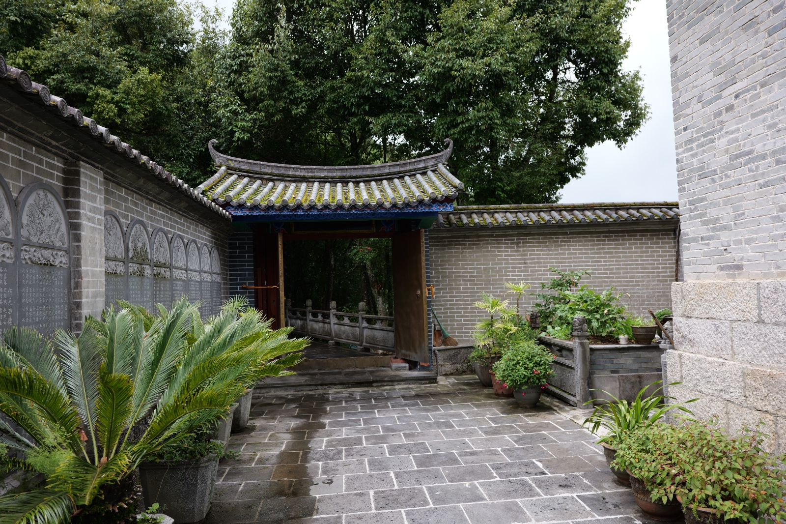 P1000768.JPG