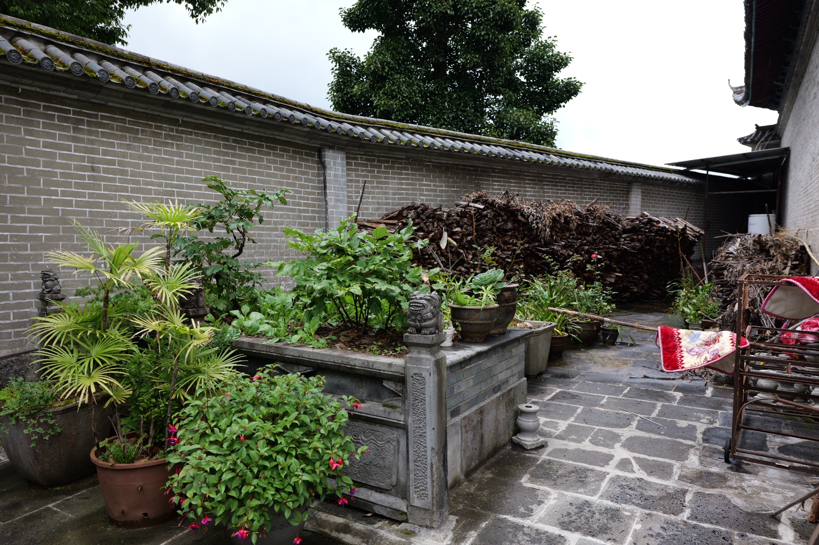 P1000769.JPG