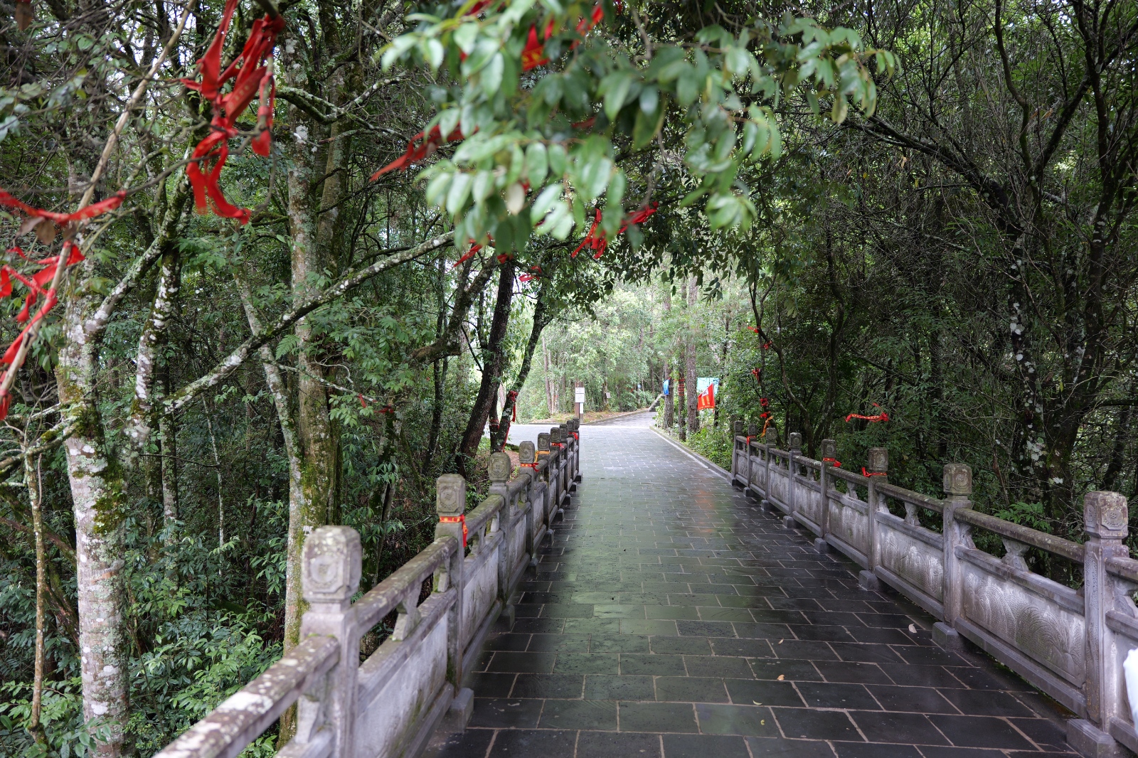 P1000770.JPG