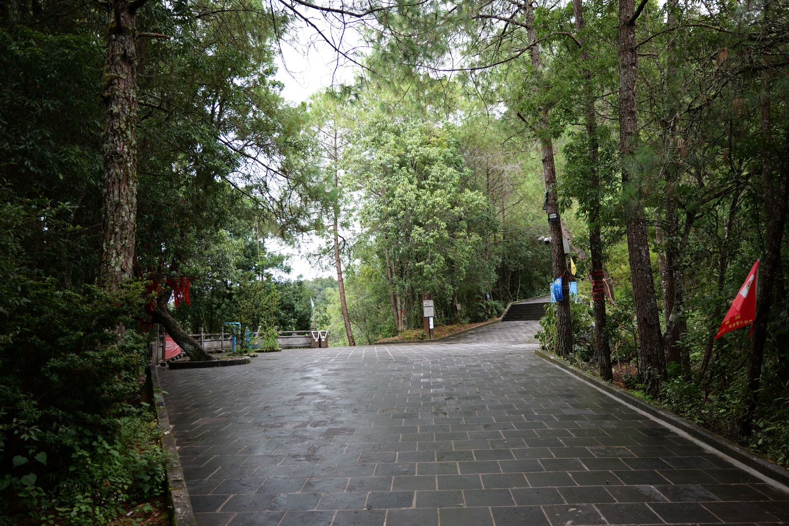 P1000771.JPG
