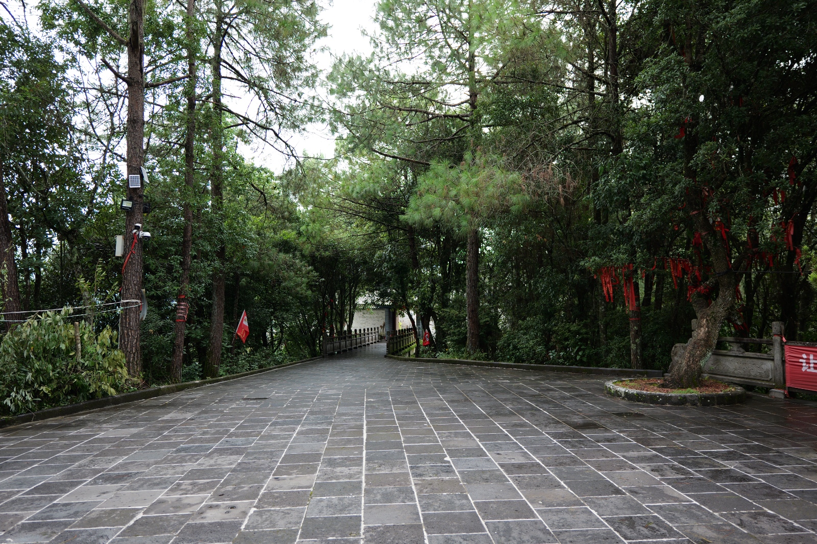 P1000780.JPG