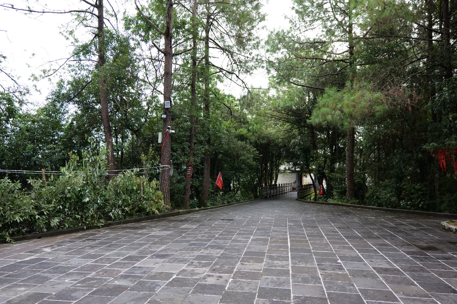 P1000781.JPG