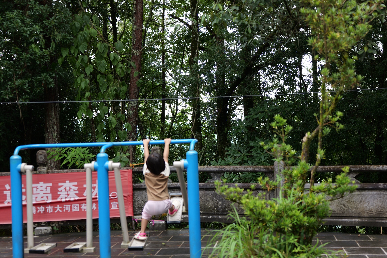 P1000782.JPG