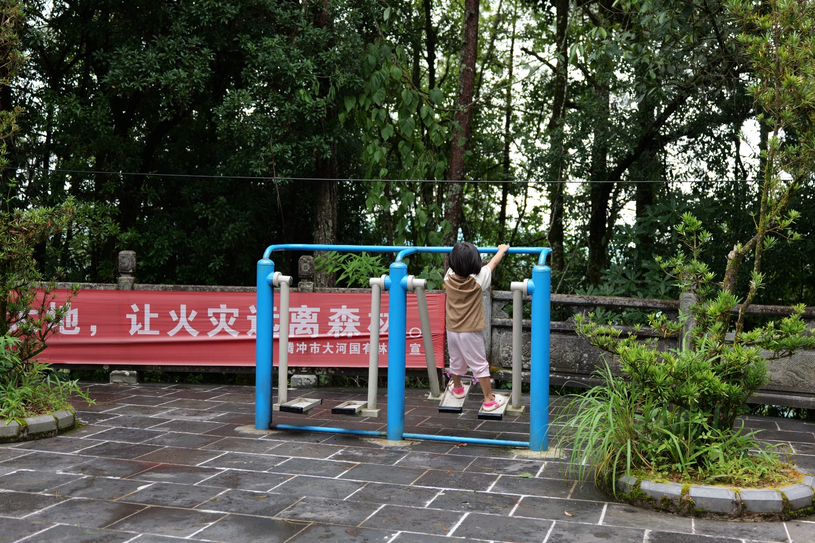P1000783.JPG