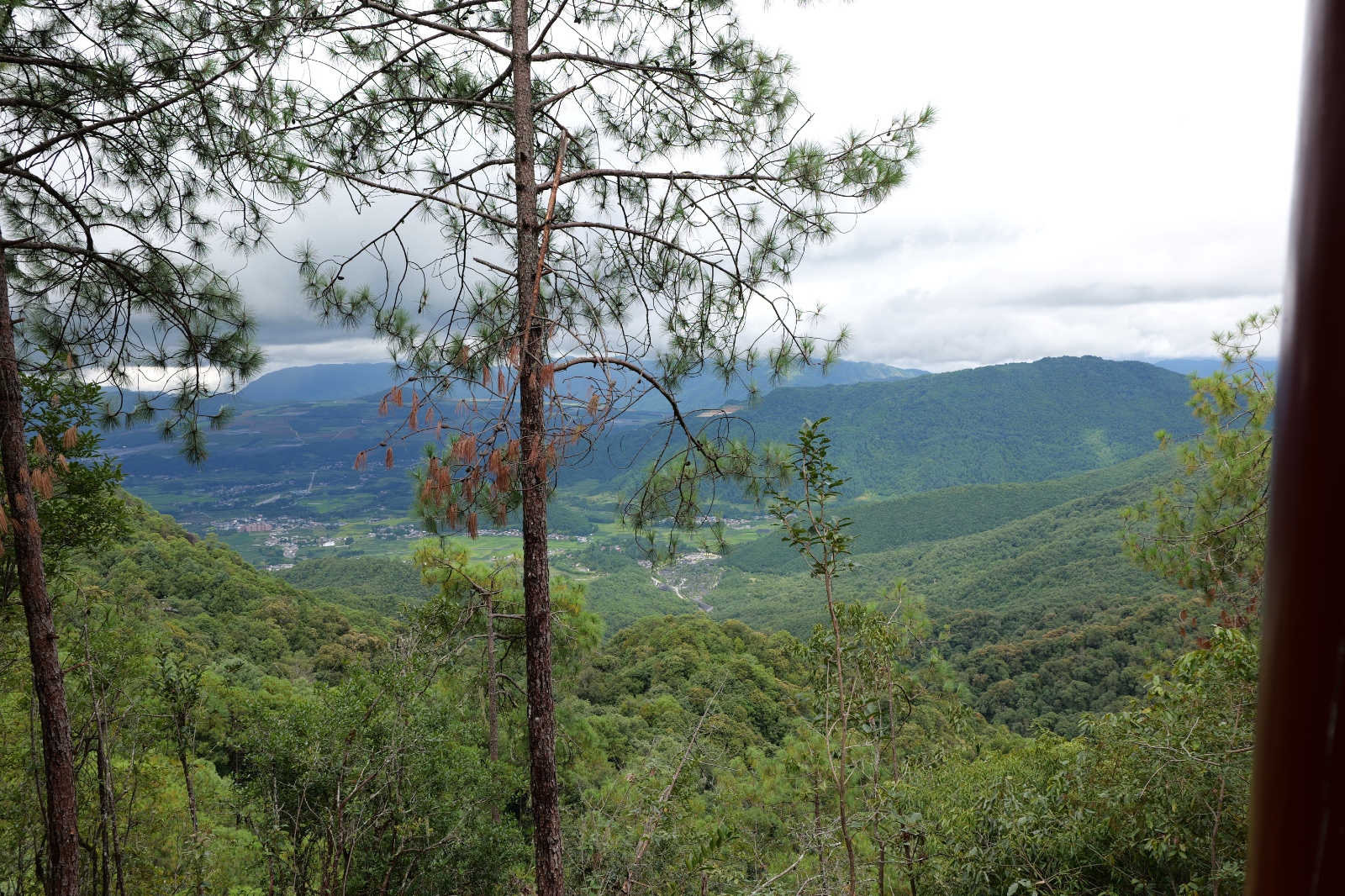 P1000791.JPG