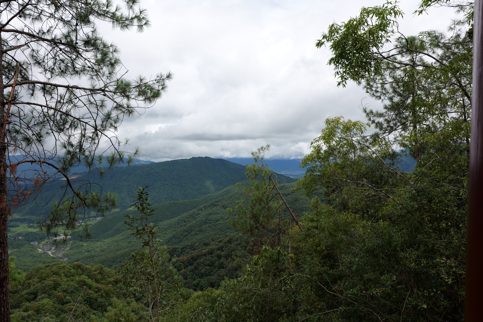 P1000792.JPG