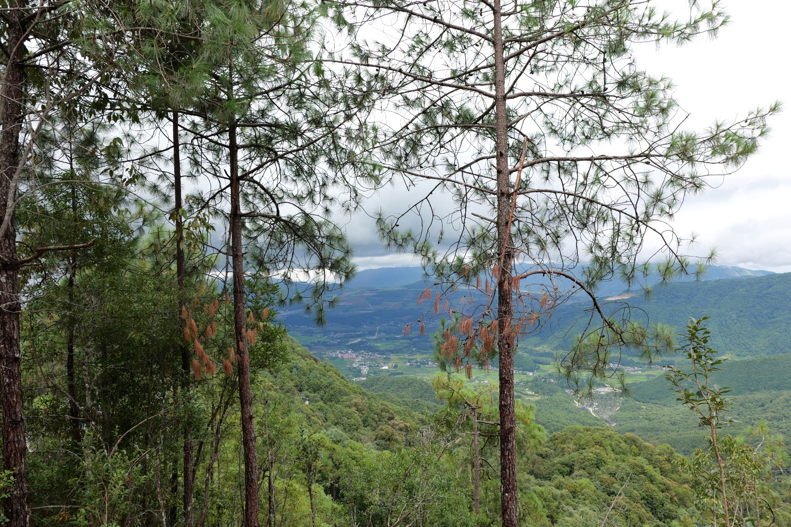 P1000793.JPG