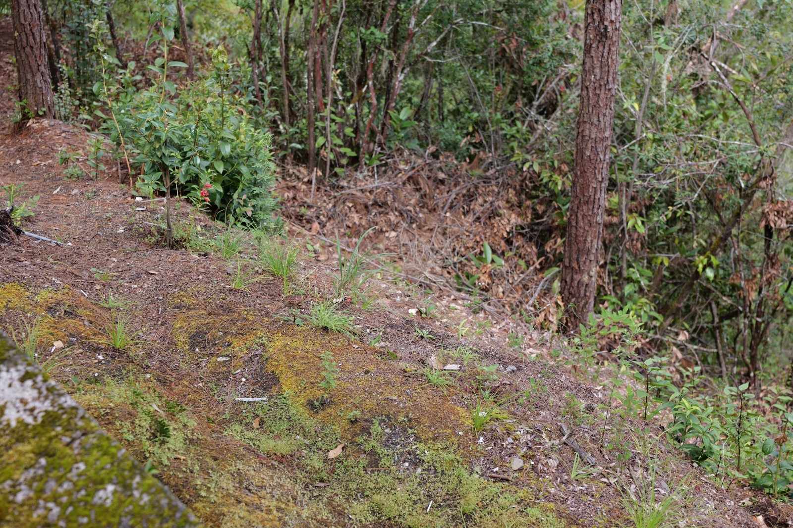 P1000798.JPG