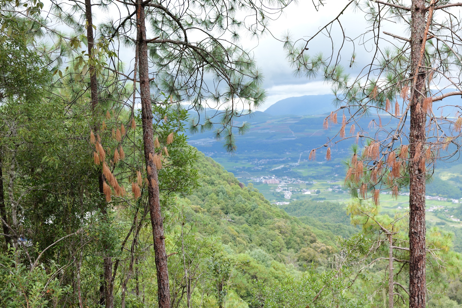 P1000797.JPG