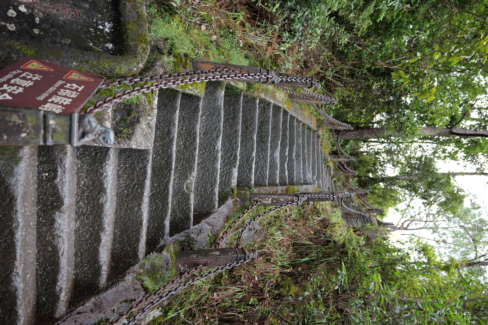 P1000800.JPG