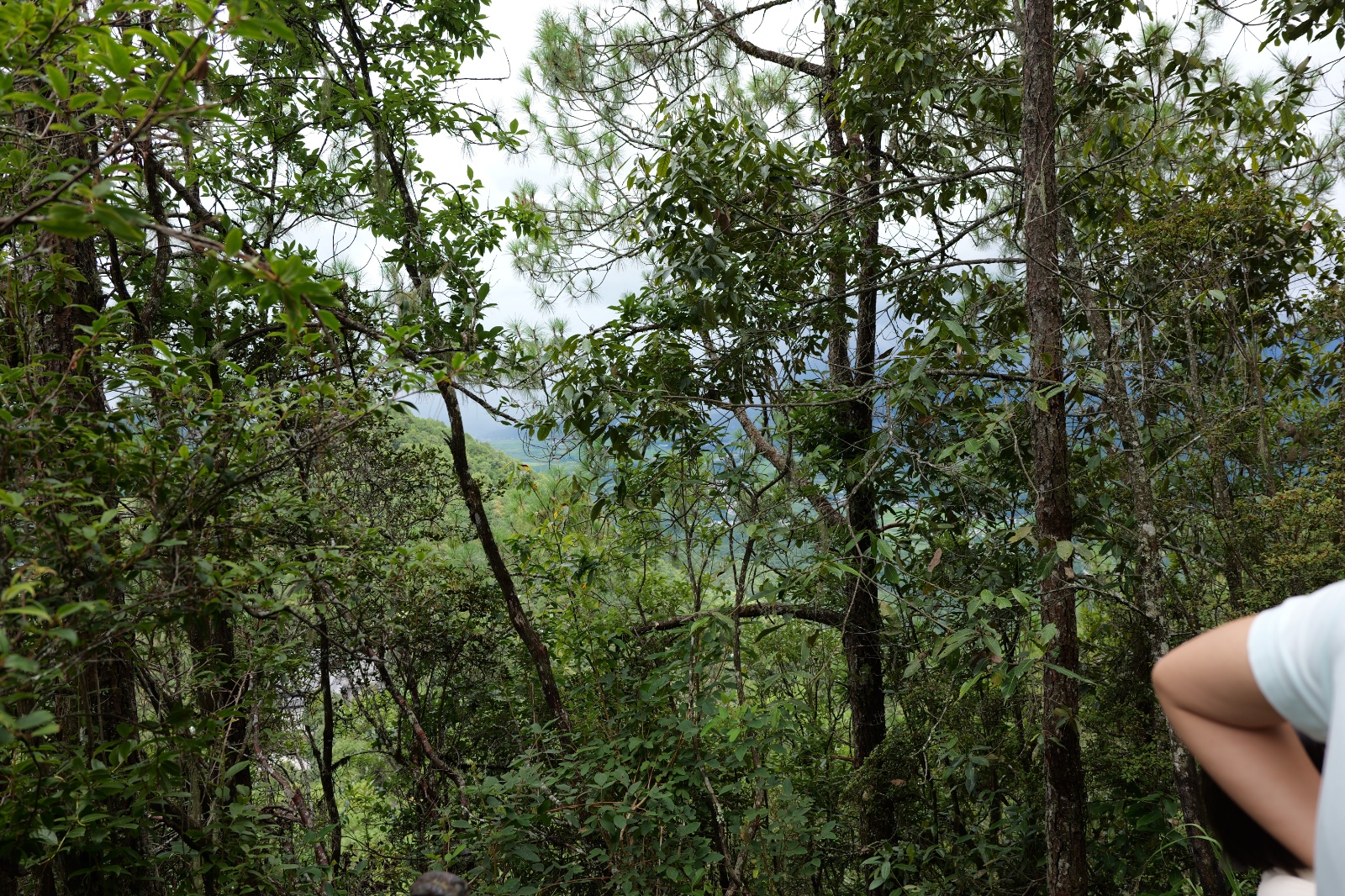 P1000802.JPG