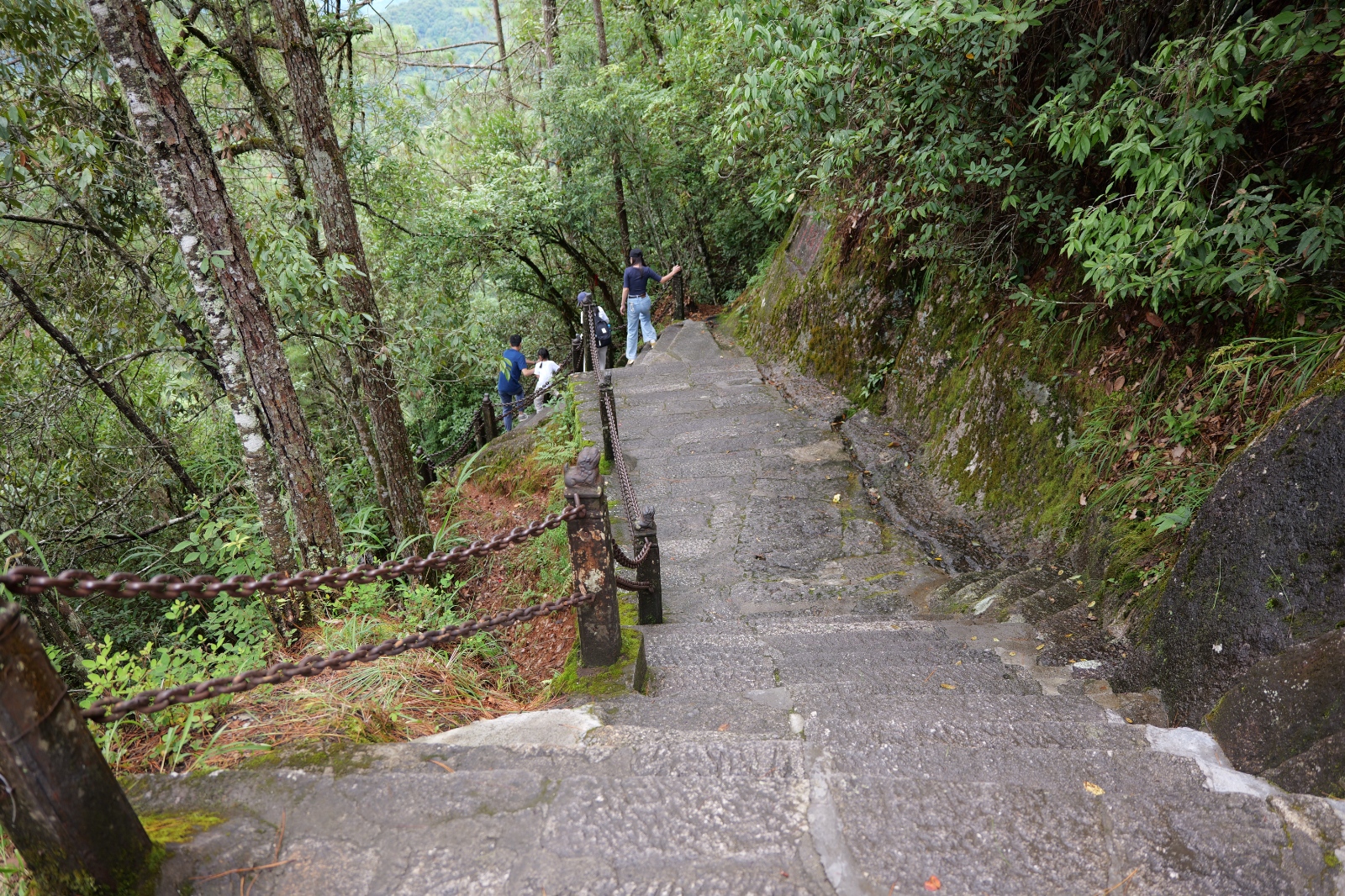 P1000801.JPG