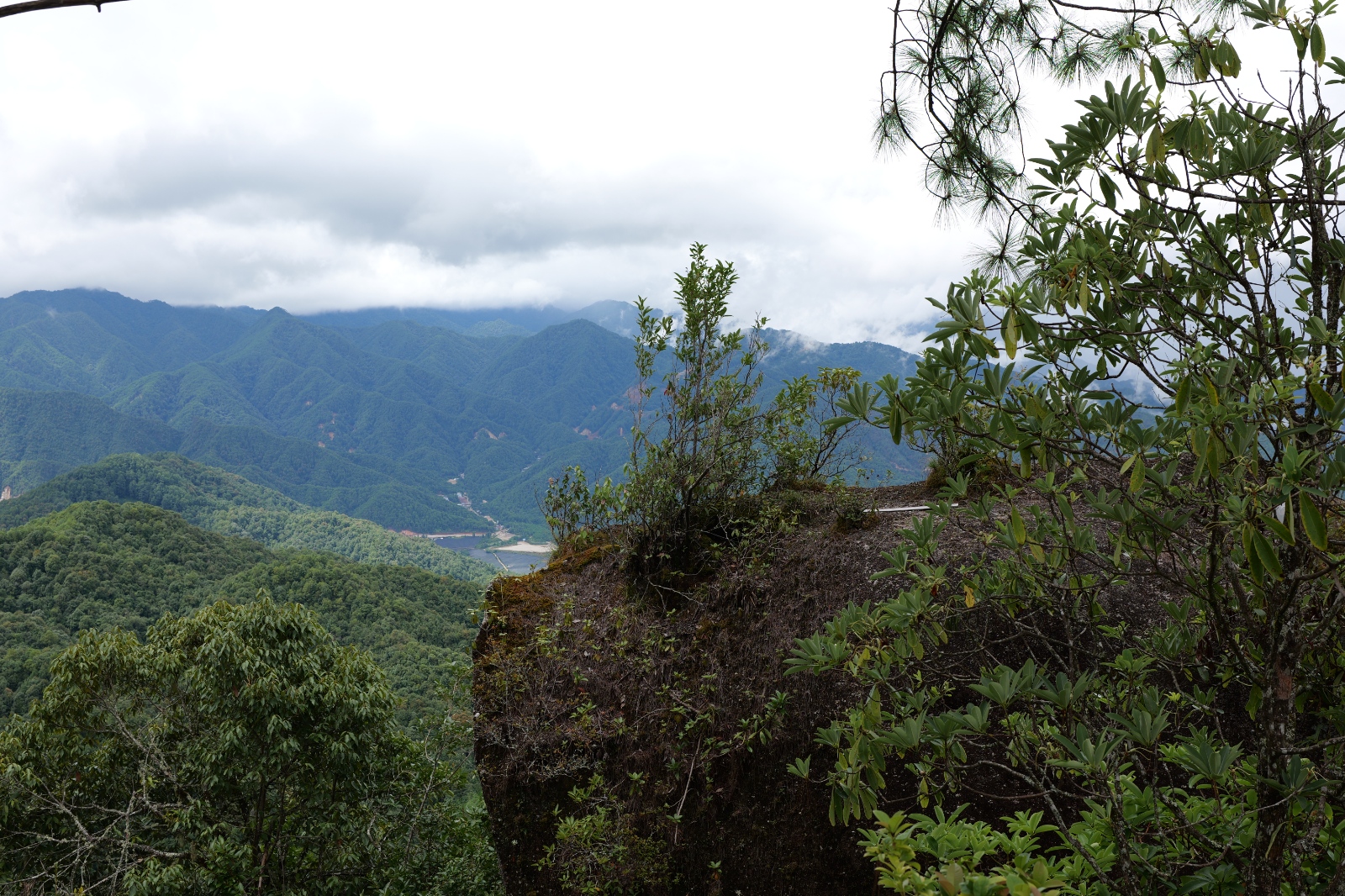 P1000812.JPG
