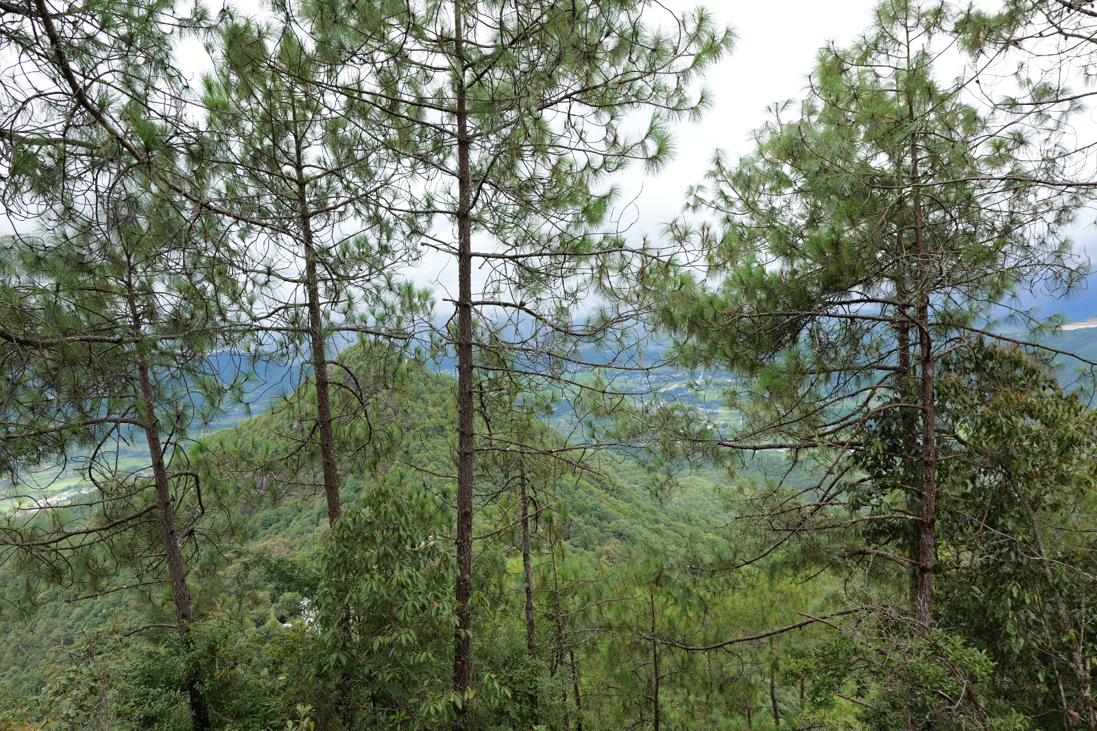 P1000816.JPG