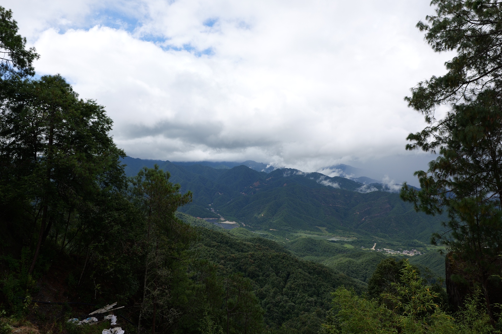 P1000823.JPG
