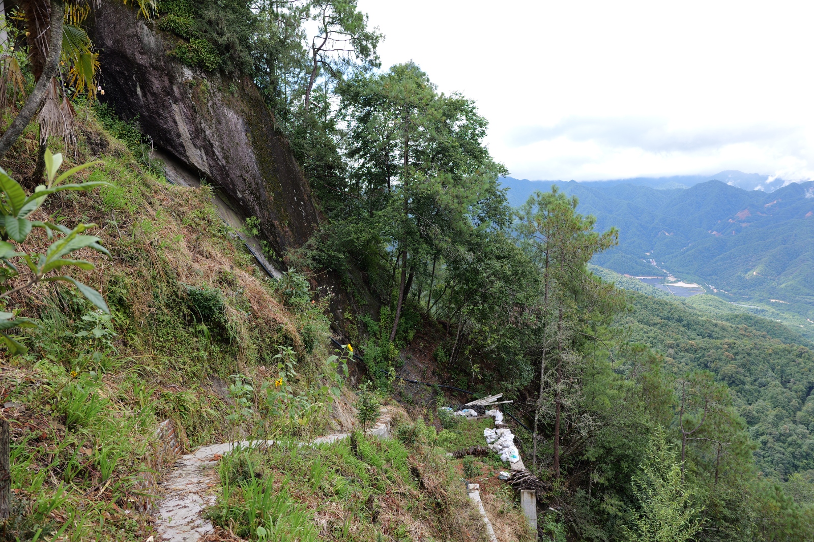 P1000824.JPG
