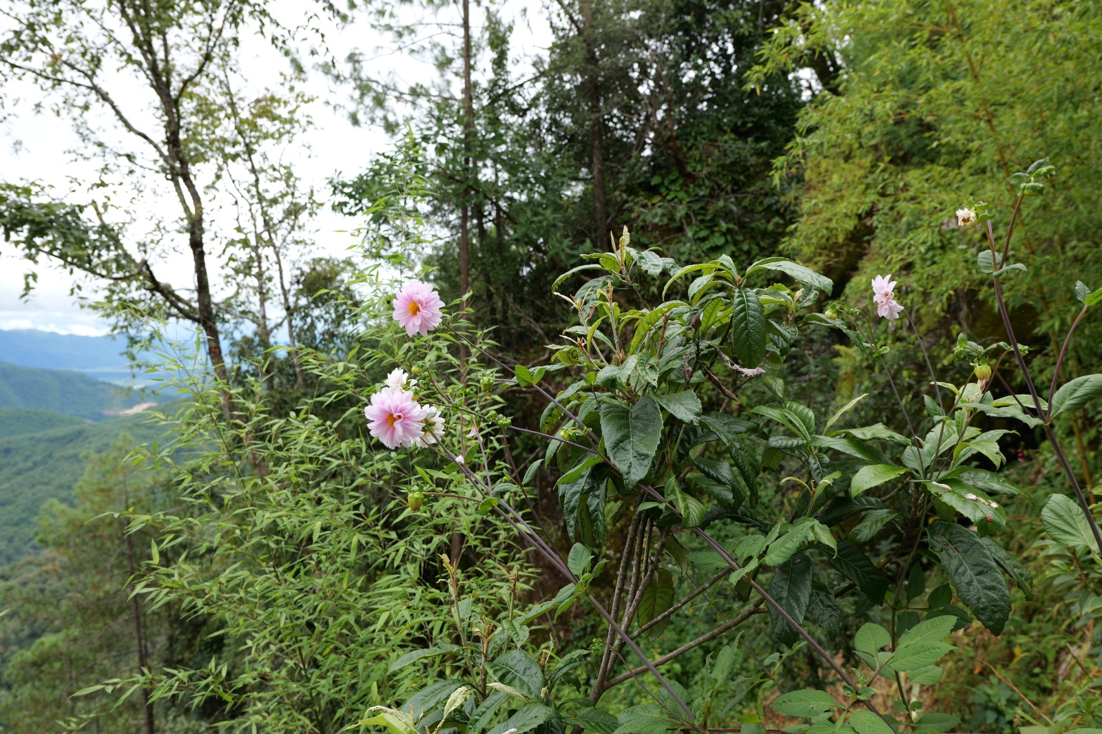 P1000827.JPG