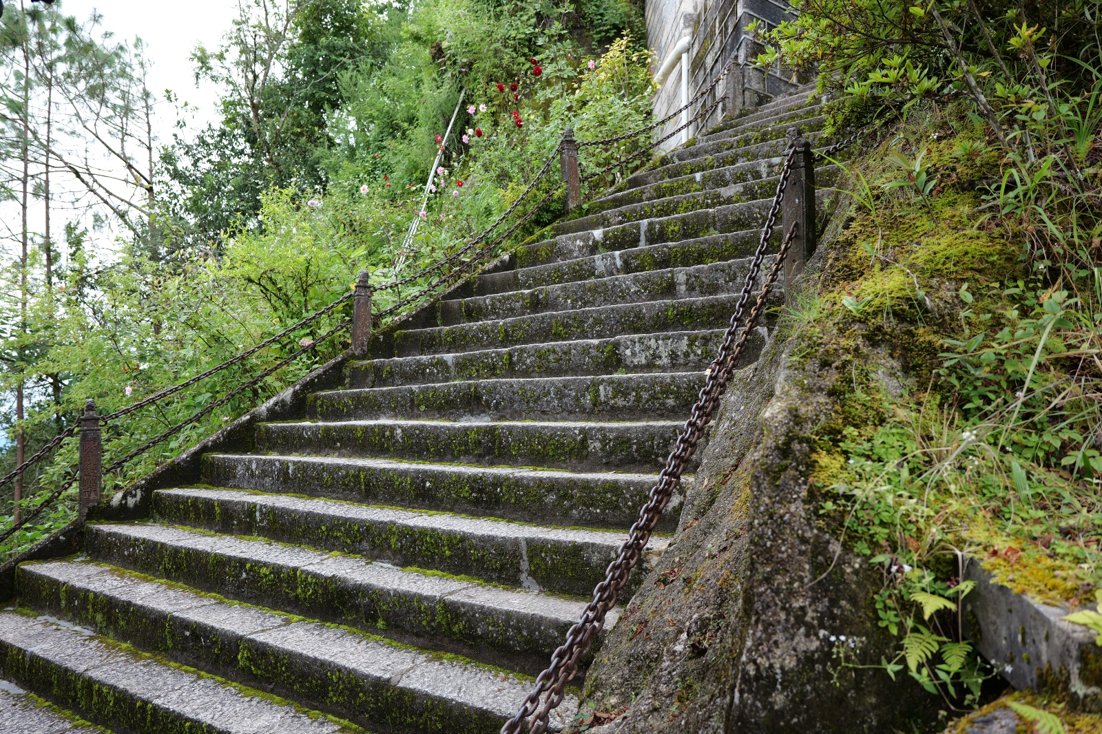 P1000826.JPG