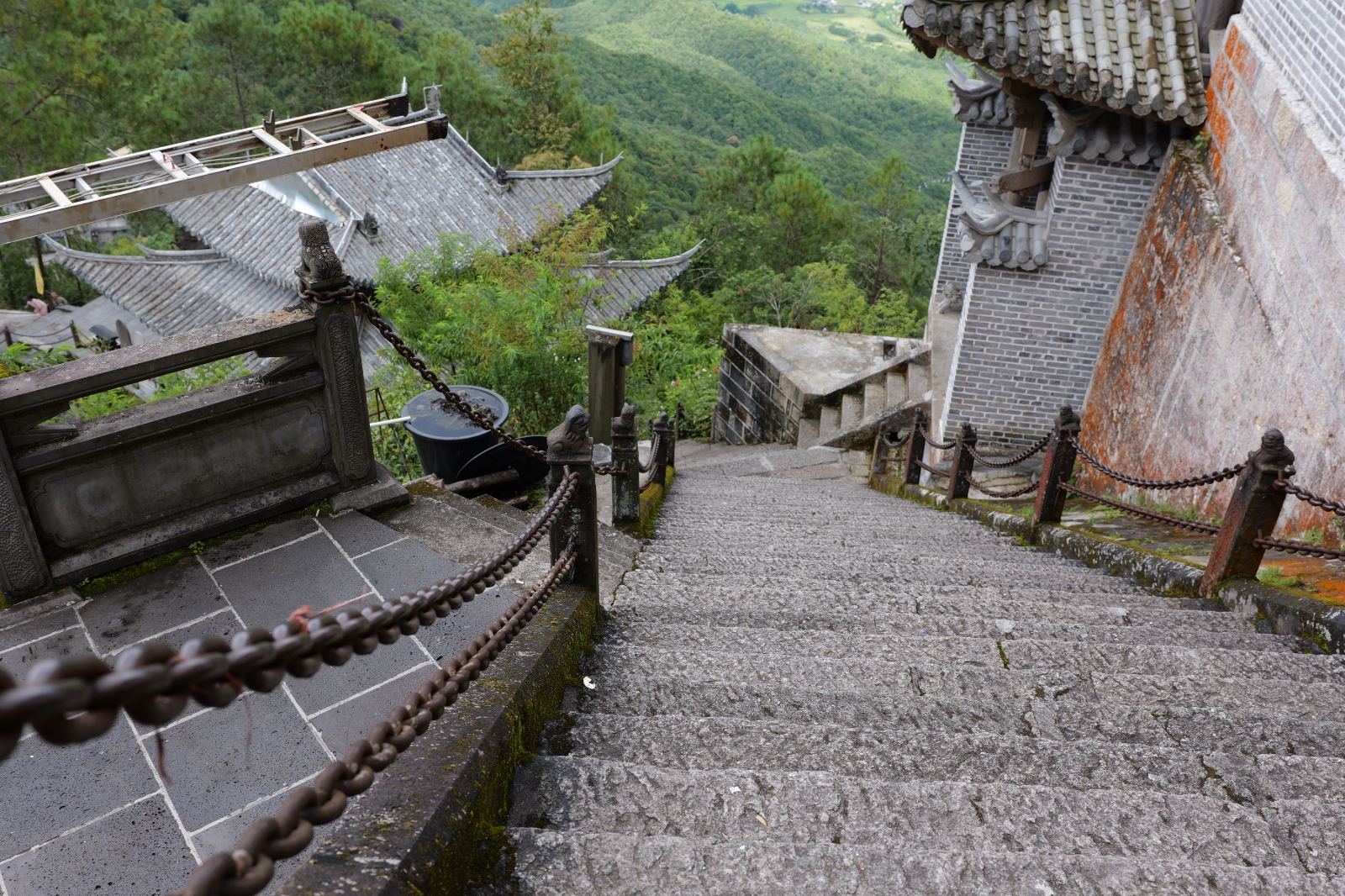 P1000842.JPG