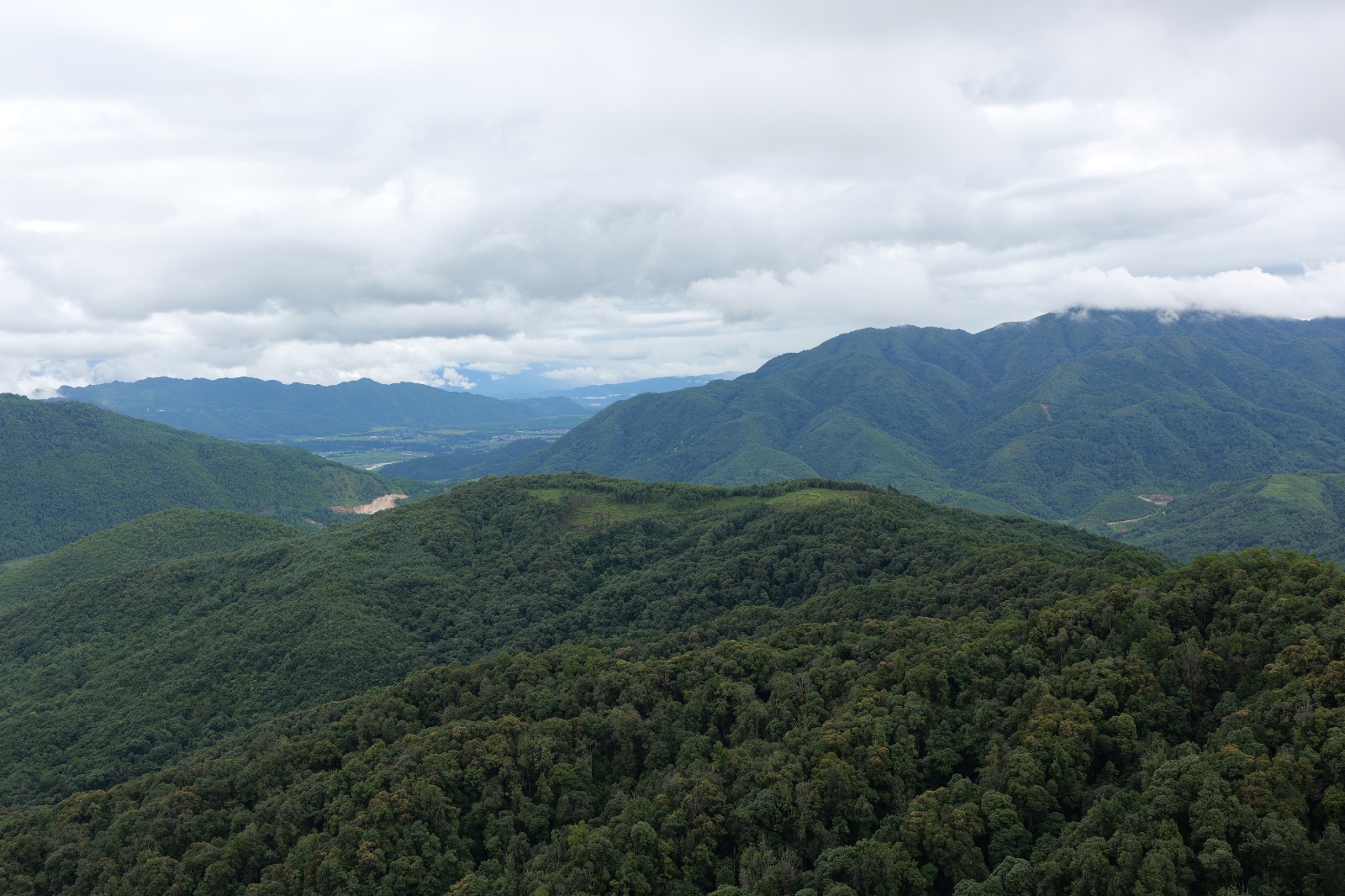 P1000928.JPG