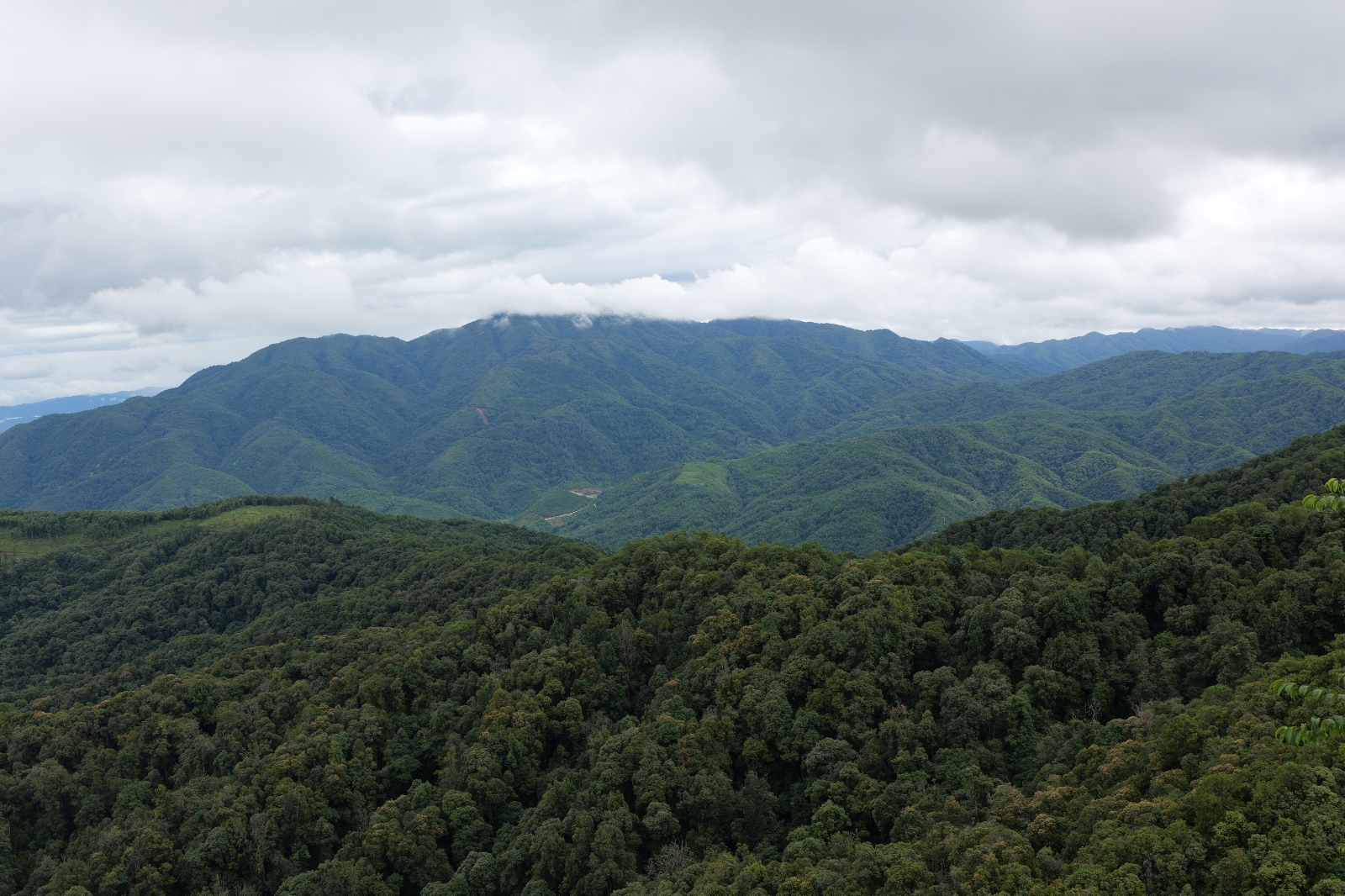 P1000929.JPG