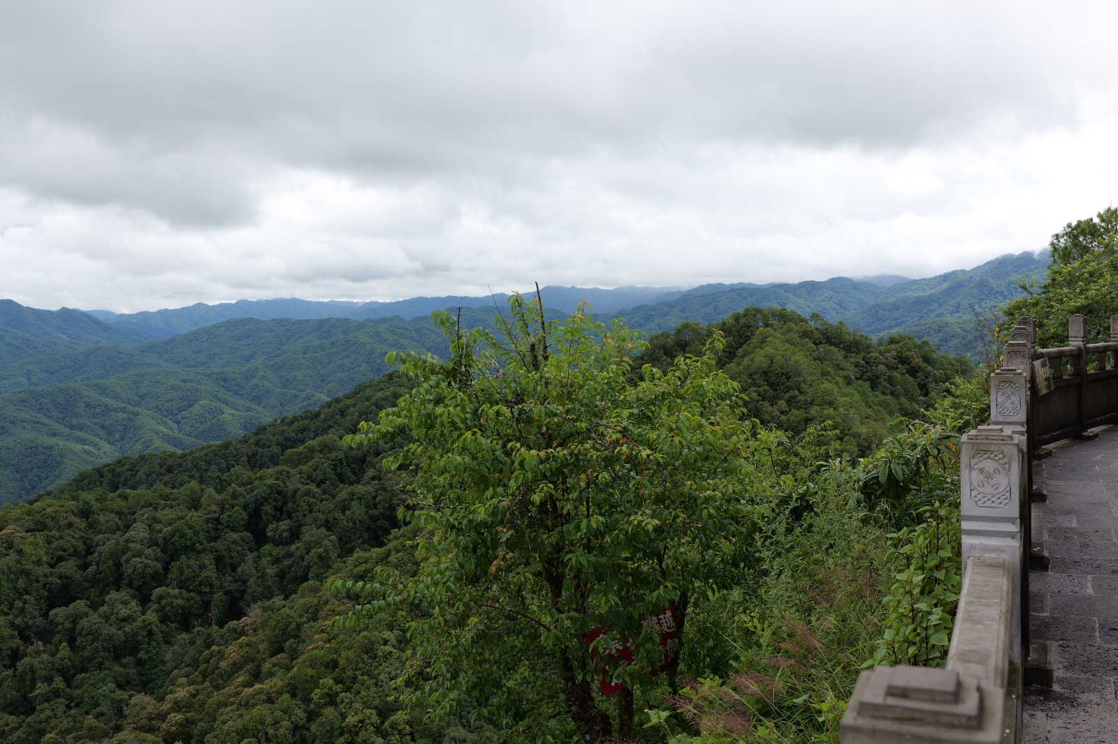P1000930.JPG