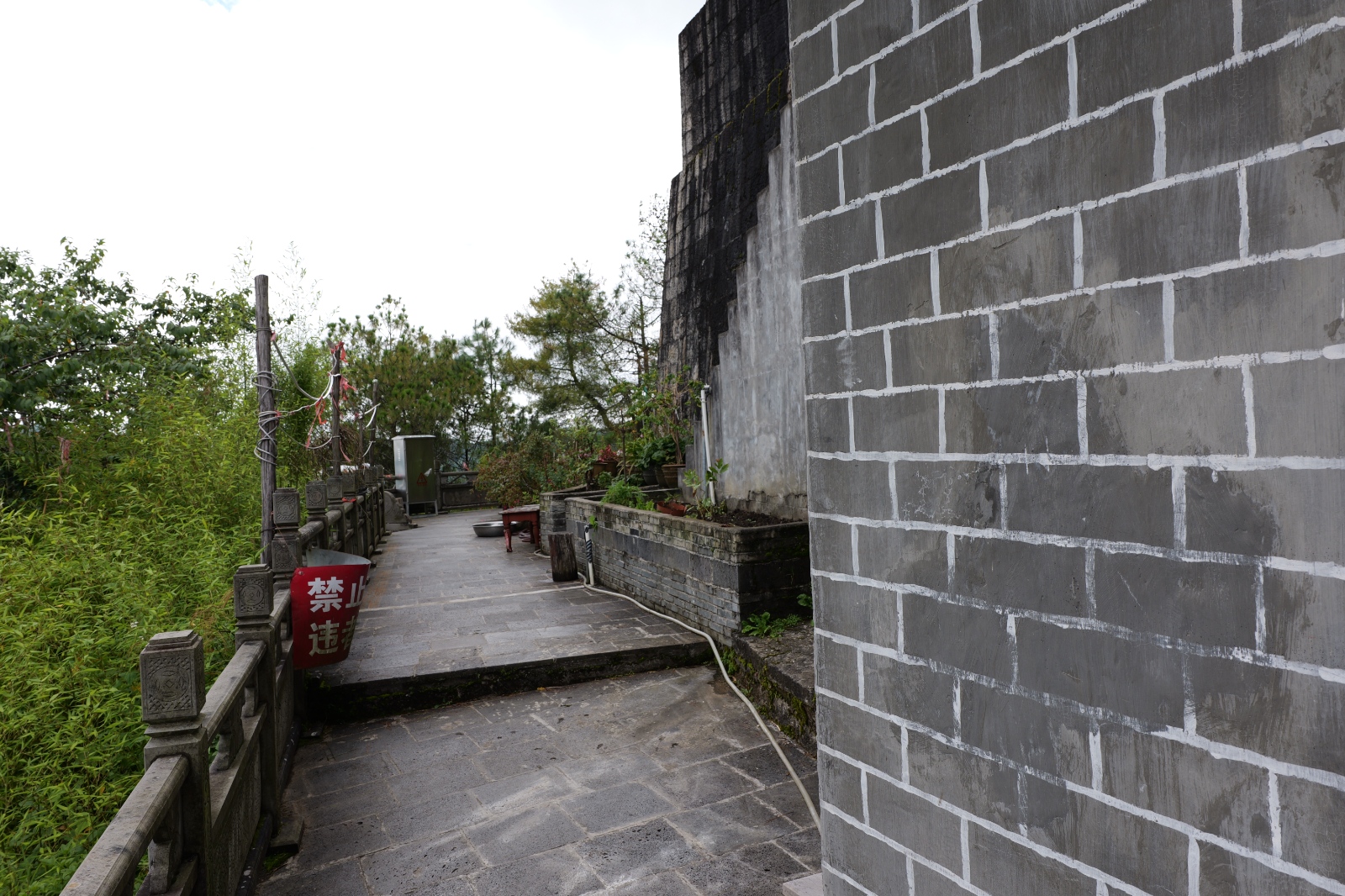 P1000935.JPG