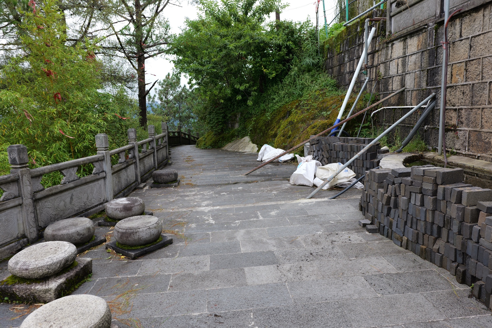 P1000941.JPG