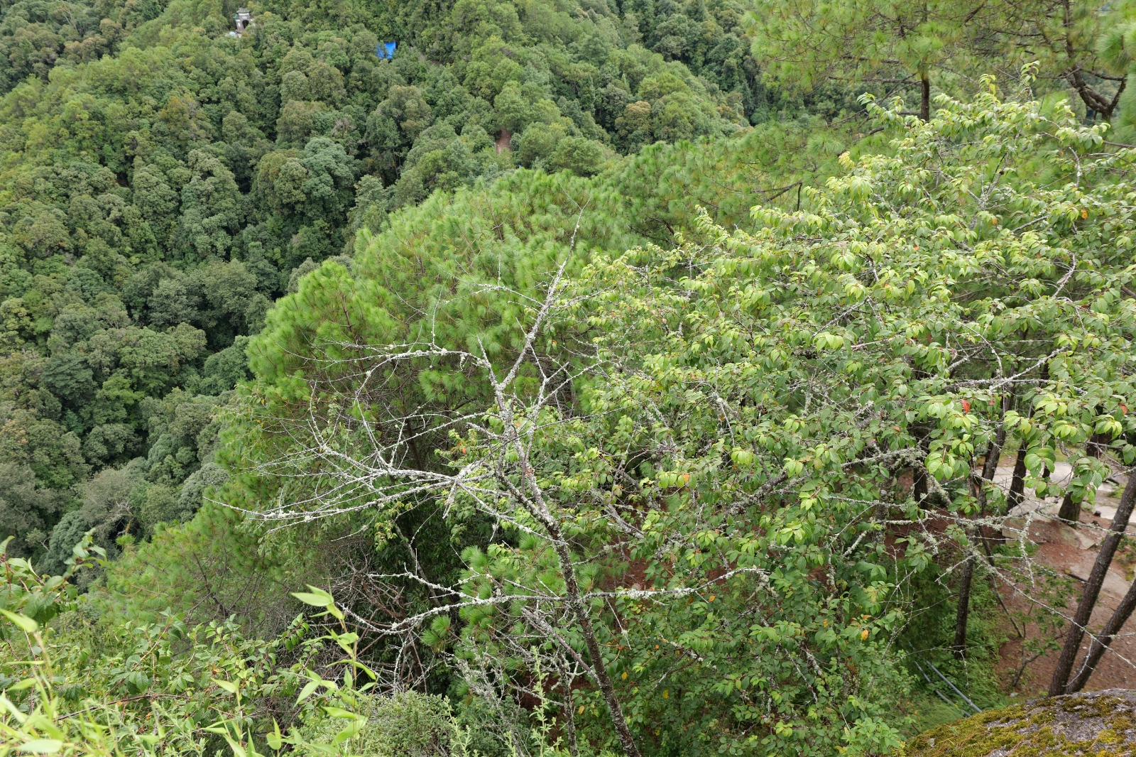 P1000961.JPG
