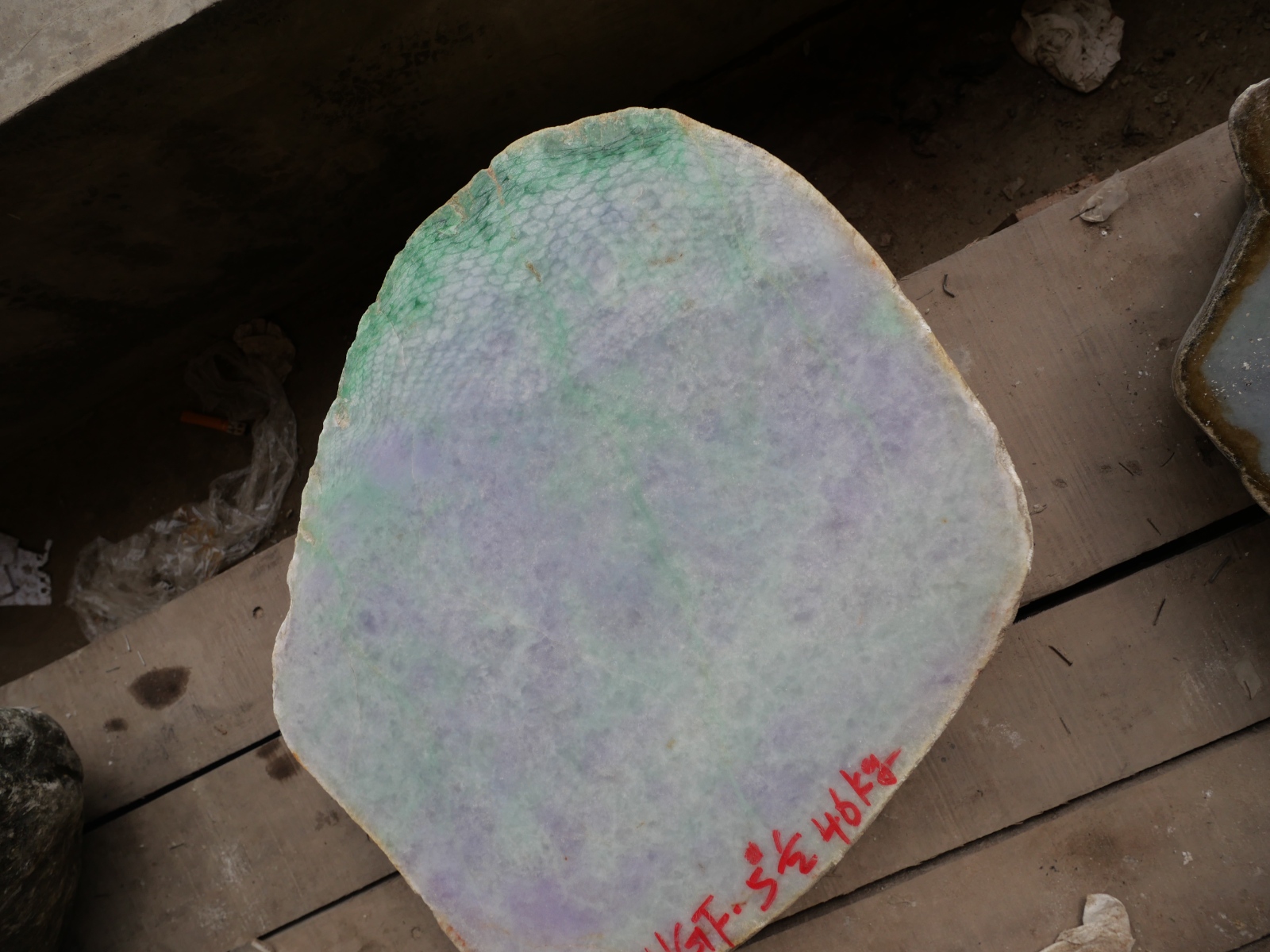 P1046691.JPG