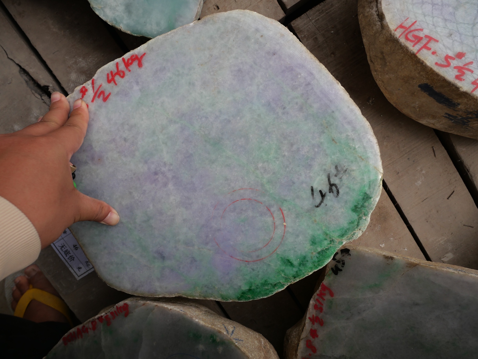 P1046690.JPG