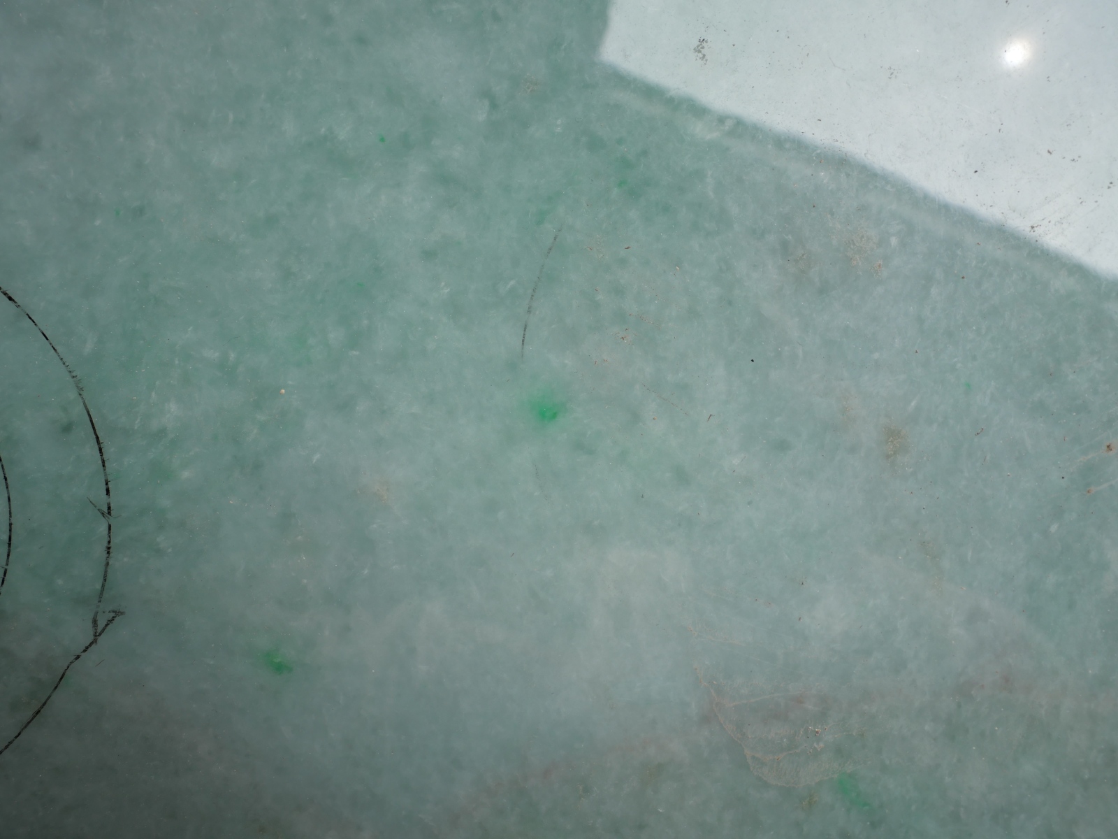 P1057109.JPG