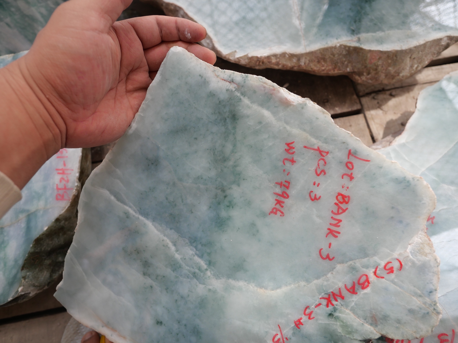 P1057486.JPG