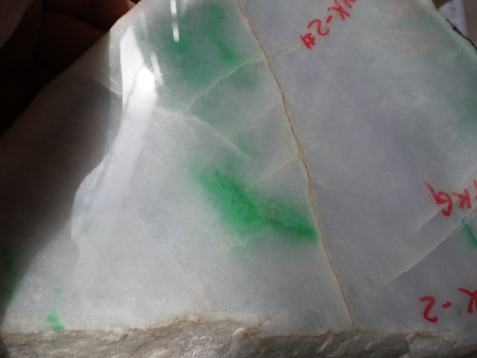 P1057423.JPG