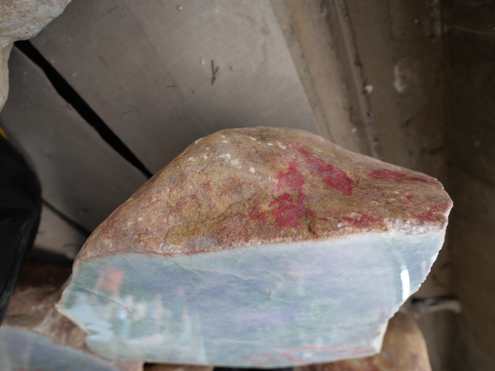 P1057667.JPG